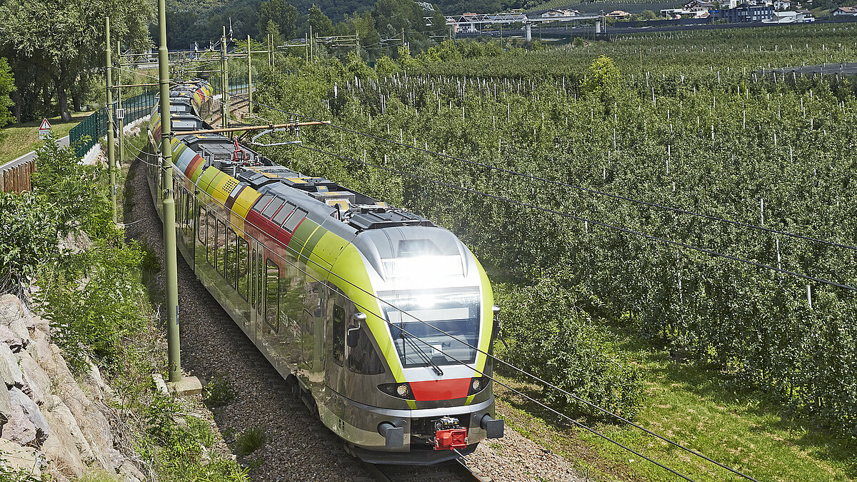 Train in the middle of the nature.